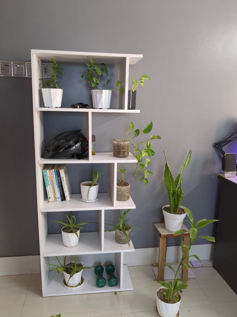 39049b50c8420fe12e73cba3b3fc06c0 Book Shelf showpiece shelf Stand Height 60 Inch Width 24 inch Depth 10 Inch Model SLF302 - Image 1