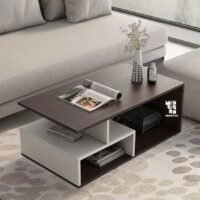 Tea Table / Center Table - Height 16 Inch × Width 30 Inch × Depth 18 Inch | Model TCT003