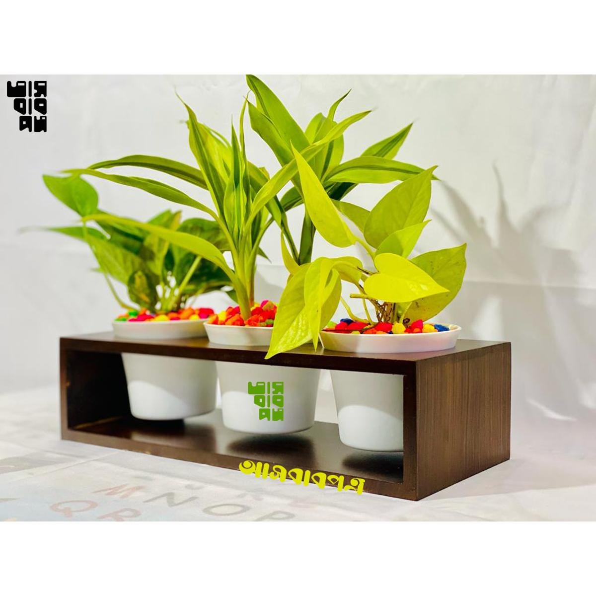 fd0215b55b2ff69dcea7b0f3c4d6d84c Tree Slelf Box plant shelf Height 04 Inch Width 14 Inch Depth 5 Model TS2001 - Image 1